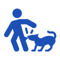 Dog Bite